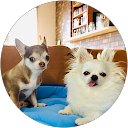 Akeke profile picture